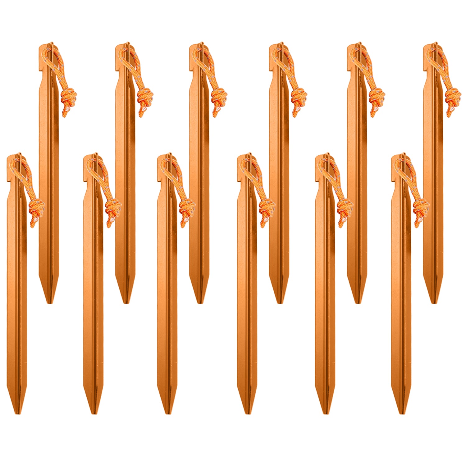 Outdoor High-strength Aluminum Stakes for Tent (12pc)